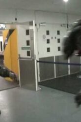 Alien Vs Predator – Real life Fight Scene