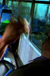 Best Fight Scene Transporter