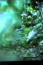 Predator – Jungle Fight Scene – Gatling gun & others mow down the jungle.