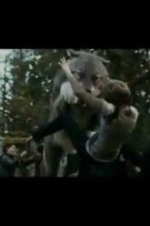 twilight eclipse fight scene cullens & wearwolves vs newborns